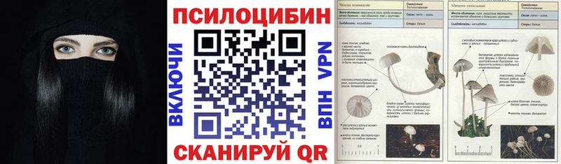 купить закладку Кохма Галлюциногенные грибы мицелий